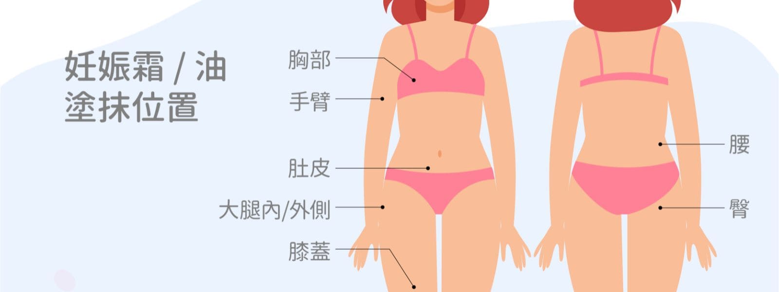 懷孕期間需記得塗抹的位置有胸部、手臂、肚皮、腰部、臀部、大腿內外側以及膝蓋